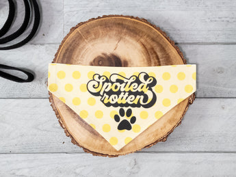 Group bandanas-65.jpg