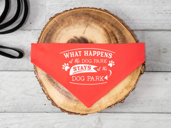 Group bandanas-77.jpg