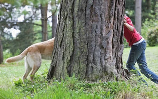 Creative Ways to Exercise with Your Pet: Unleash Fun and Fitness!