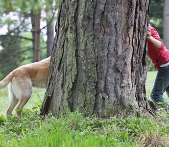 Creative Ways to Exercise with Your Pet: Unleash Fun and Fitness!