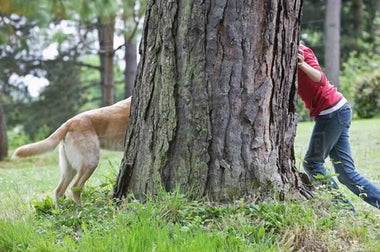 Creative Ways to Exercise with Your Pet: Unleash Fun and Fitness!