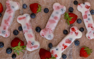 bone shaped frozen dog treats with yogurt, strawberries, and blueberries