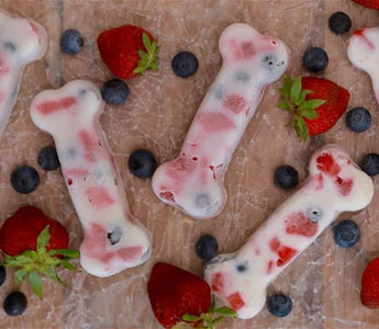 bone shaped frozen dog treats with yogurt, strawberries, and blueberries