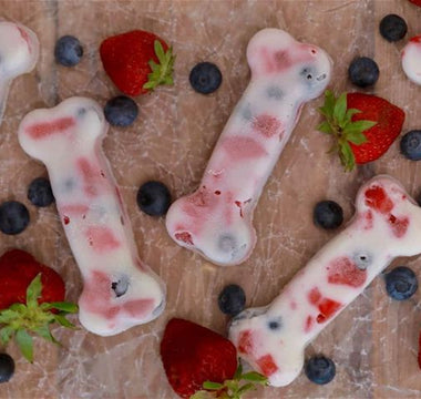 bone shaped frozen dog treats with yogurt, strawberries, and blueberries