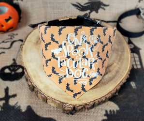 One Spooktacular Dog Slide On Bandana