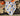 Halloween Witch and Pumpkin Pet Bandana