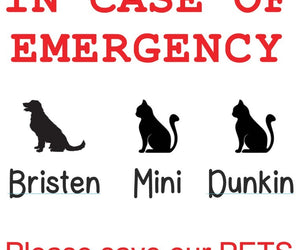 Copy of Emergency Pet Decal