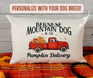 Pumpkin Delivery Pillow