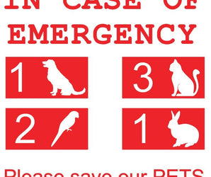 Emergency Decal.jpg